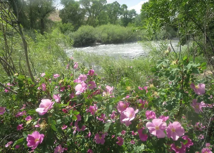 Wind River * Dubois